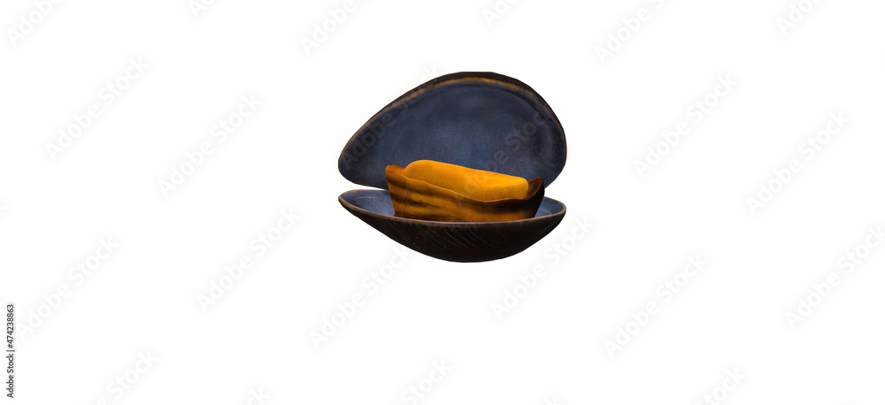 3d illustration of mussel isolated on white background
- clams - Mussels in shell 3d illustration of mussel isolated on white background
- clams - Mussels in shell