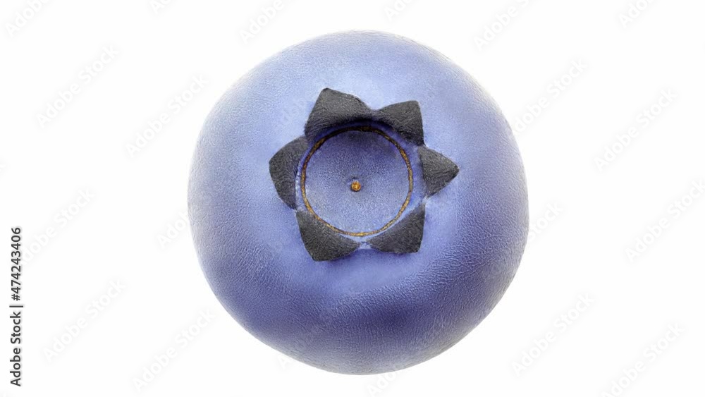 Blueberries single close-up, rotating on white background, top view. Blueberries single close-up, rotating on white background, top view.