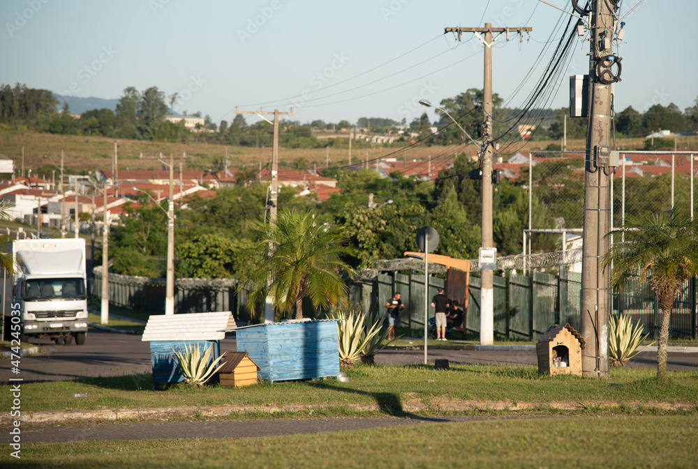 Homes for dogs that live on the street Homes for dogs that live on the street