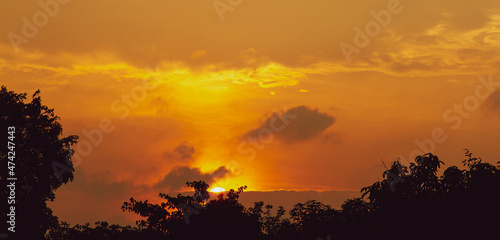 Beautiful darkness, Siluet in the Evening sunset. Evening cloudless sunset. On the horizon, a dark siluet of trees. peace view sunset. color golden, yellow, orange make dramatic view on sunset