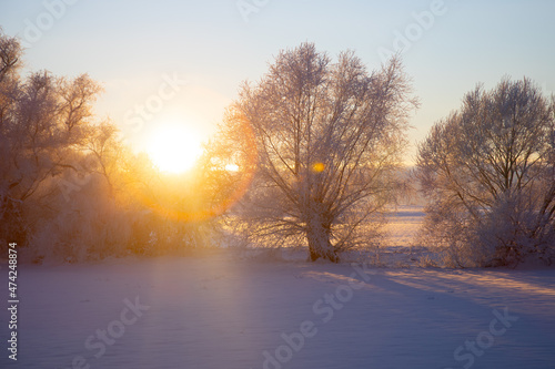 The sun shines on the trees in winter © Emvats