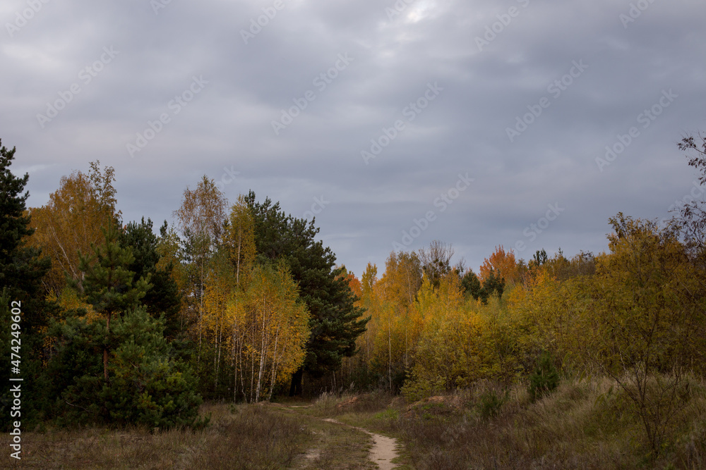 Autumn park and forest under clear clear sky Autumn park and forest under clear clear sky