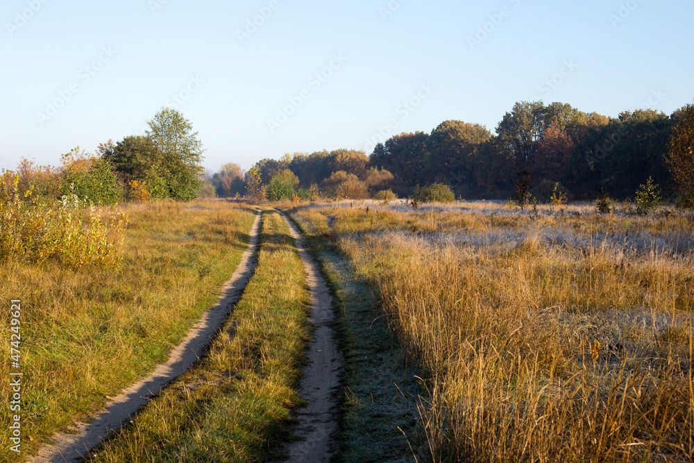 Fototapeta premium Autumn park and forest under clear clear sky