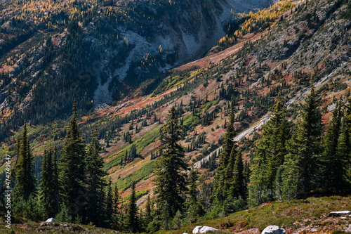 Fall colors in the north cascades alpine