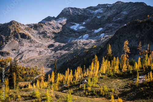 Incredible mountain scene with golden larches