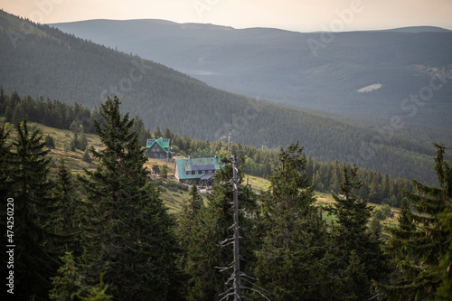 Cottage With Green Roof On The Hillside