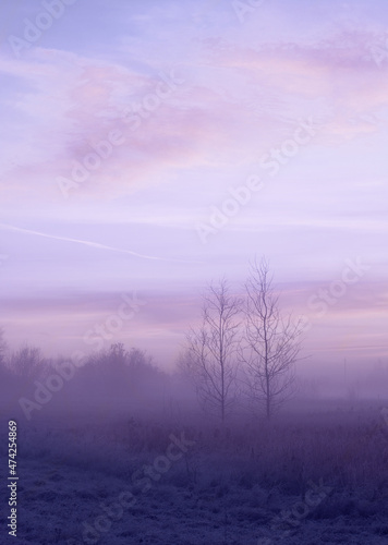 beautiful winter landscape with fog and frost, color of year 2022