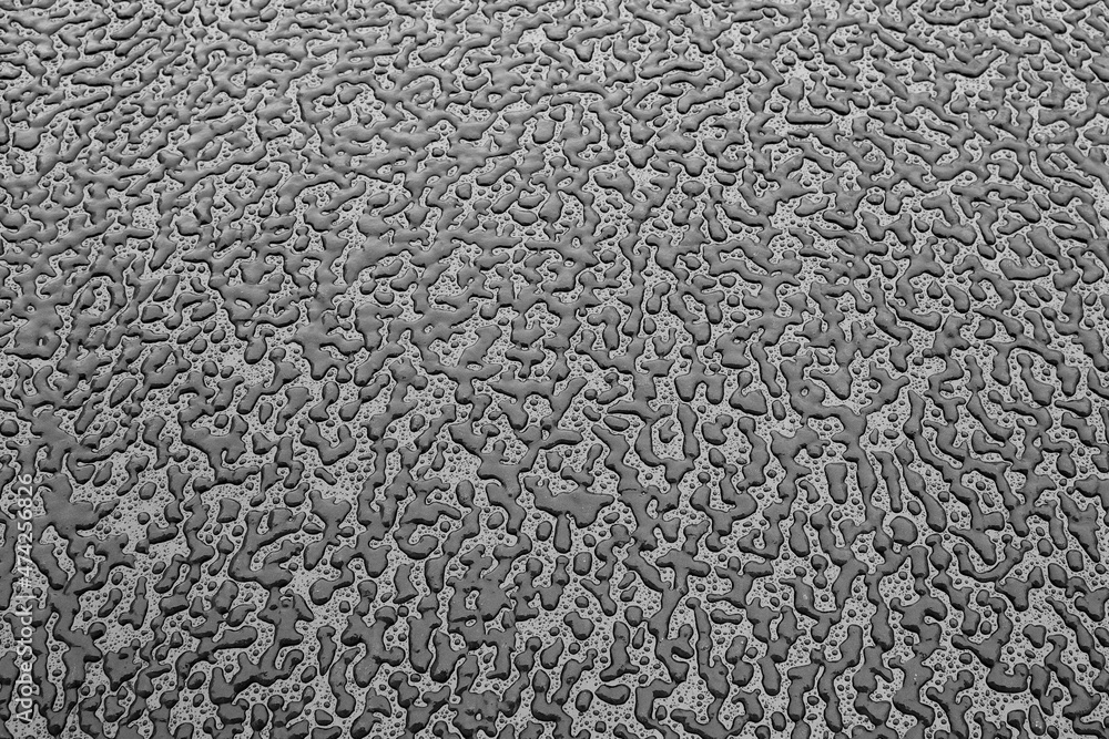 texture, water, pattern, surface, rain texture, water, pattern, surface, rain