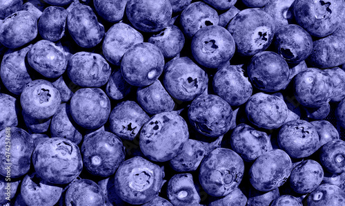 Zeer peri gekleurde Blueberry-achtergrond