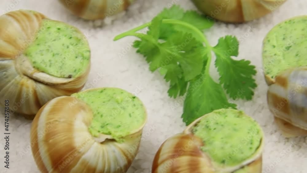 escargots frais au four avec du persil et du beurre à l'ail sur une assiette escargots frais au four avec du persil et du beurre à l'ail sur une assiette
