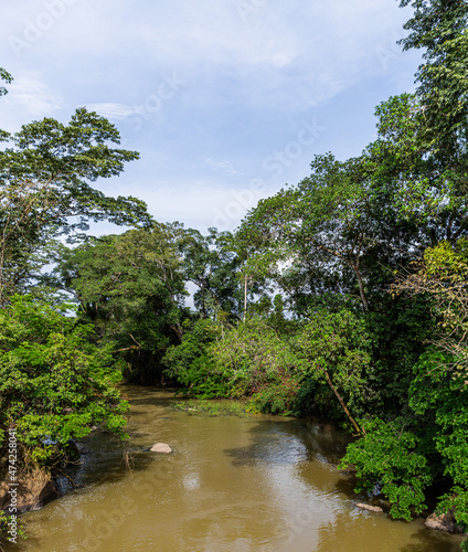River Omo in Omo forest reserve  Ogun State Nigeria.  Located about 135 kilometers from Lagos  the forest reserve consists of a large area of tropical rainforest covering 130 500 hectares .