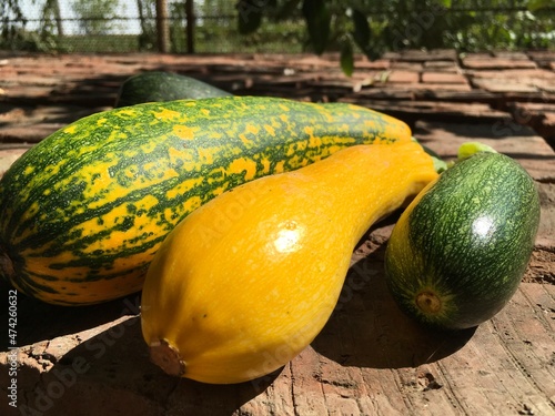 yellow courgette and green zucchini