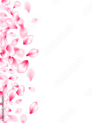 Japanese cherry blossom pink flying petals