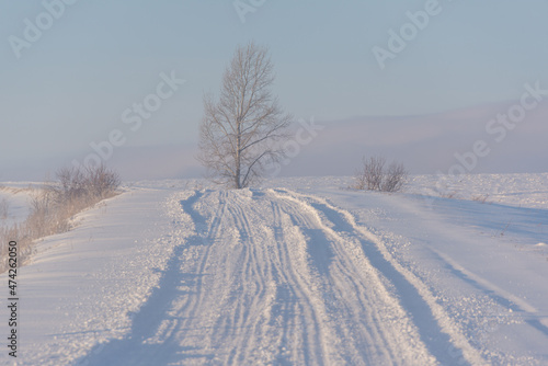 Snow-covered road through a field where a tree stands.