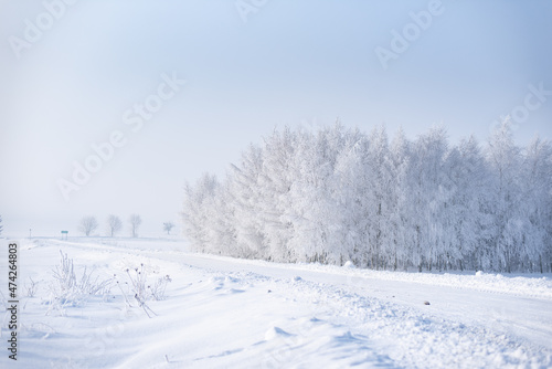 Winter rural landscape, road covered with snow and trees covered with frost, misty cold morning