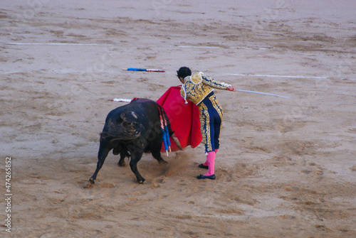 Spanish bullfighting in Barcelona. A wounded bull with swords rolled in its back.