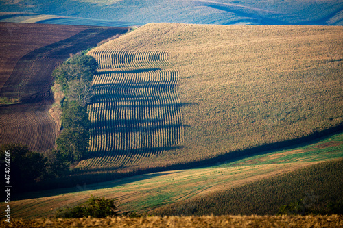 Moravia Magna 4
