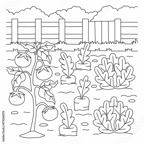 Vegetable Field Coloring Page for Kids