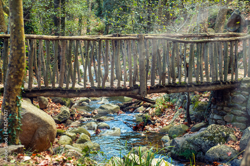 Old wooden bridge over a river in the forest