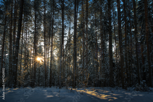 Sunrise in the winter forest. Elk city, masuria, Poland.