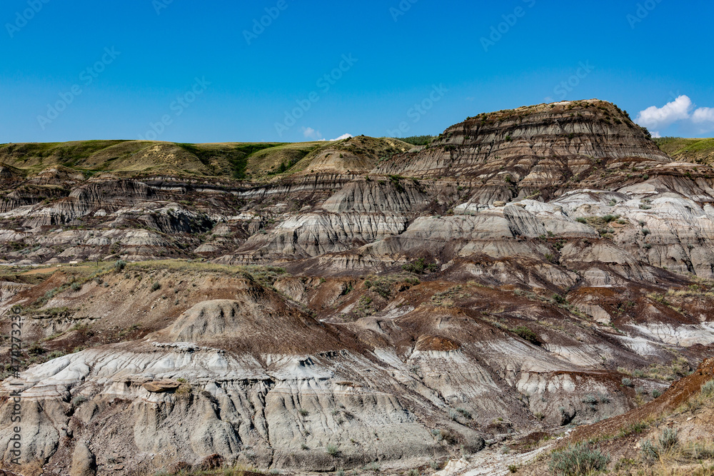 into the canyon