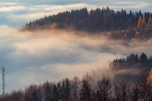 Fototapeta Naklejka Na Ścianę i Meble -  Misty autumn mountains landscape in the morning, Poland, Beskidy mountains