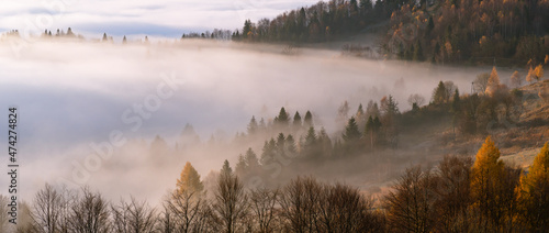 Fototapeta Naklejka Na Ścianę i Meble -  Misty mountain forest landscape in the morning, Beskid Sadecki mountain range, Poland.