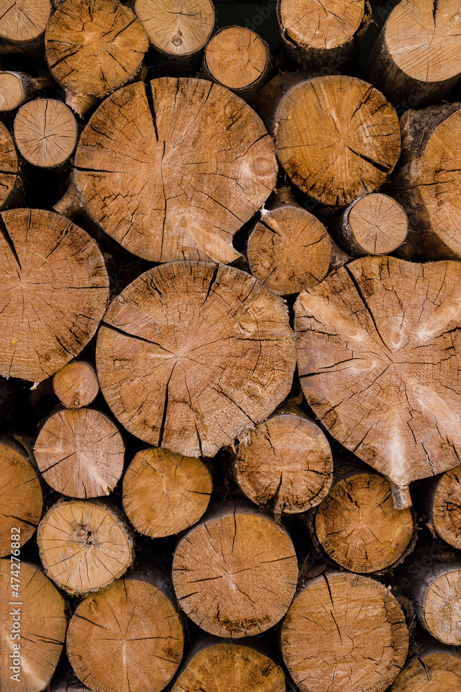 Fototapeta premium Cross section of the timber, cut trees, firewood stack for the background. Close up pile of logs background.