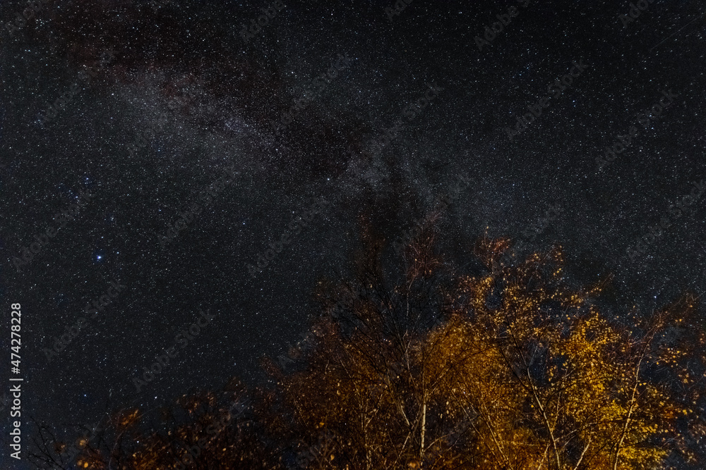 Fototapeta premium starry sky