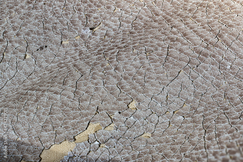 Focus stack macro of cracked faux leather on furniture with visible damage.