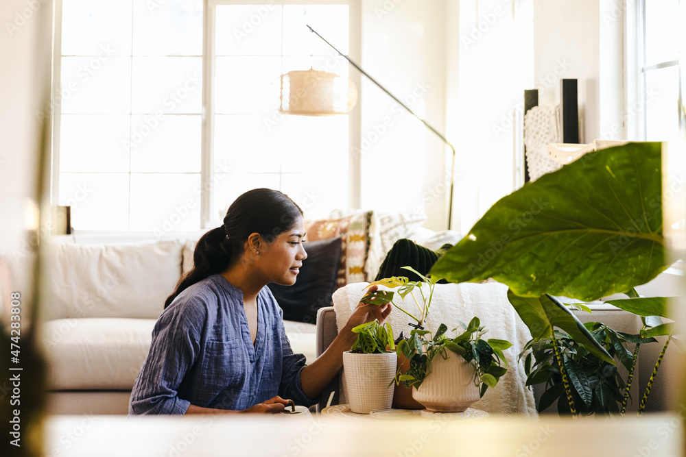 Woman Examining Plant At Home