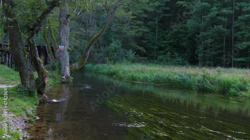 Czarna Hancza, the largest river of the Suwalki Region of north-eastern Poland photo