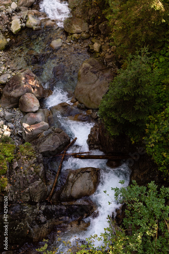 waterfall in the forest