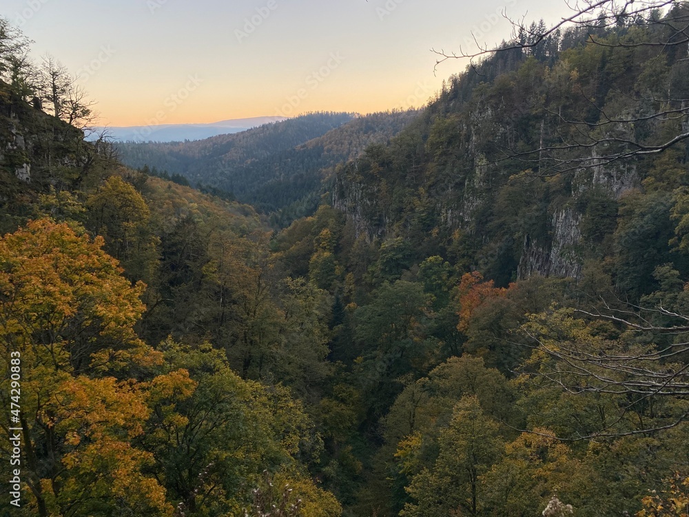 autumn forest in the mountains