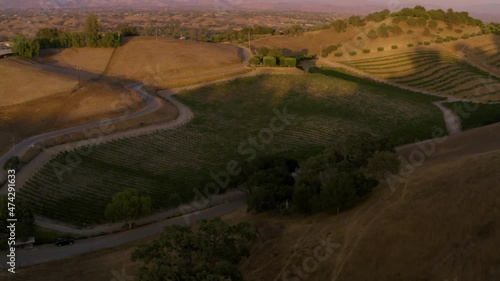 Incredible footage of a natural scenic California vineyard, featuring rolling hills and vast views of incredible lush grapes against a backdrop of golden mountain ranges.