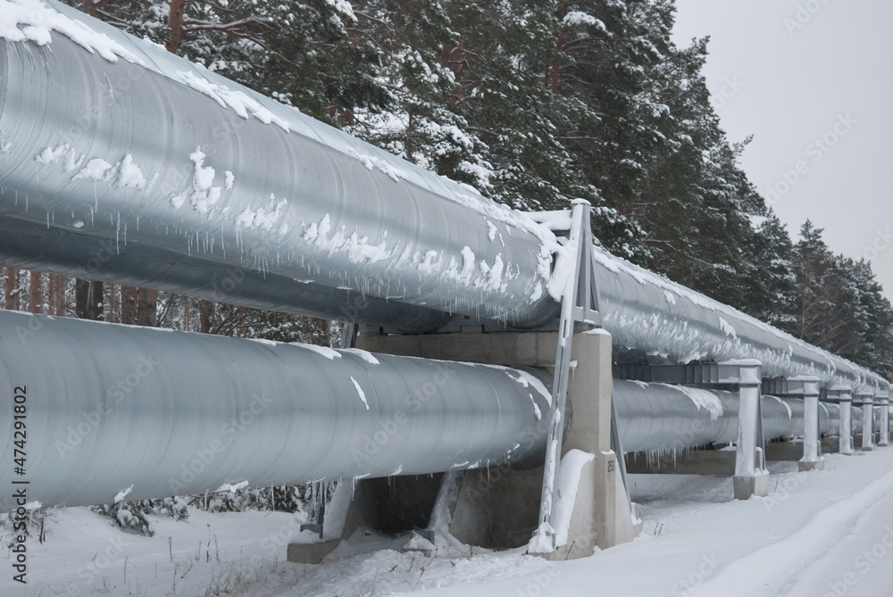 pipeline in the forest in winter. in the photo, the pipeline against the background of a winter forest and white snow pipeline in the forest in winter. in the photo, the pipeline against the background of a winter forest and white snow