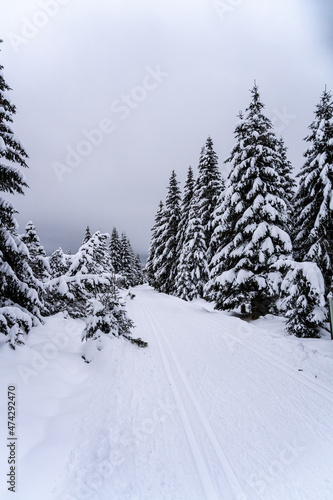 Cross country skiing track in Jizera Mountains