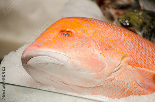 Fresh red emperor fish on the ice at a fish market.