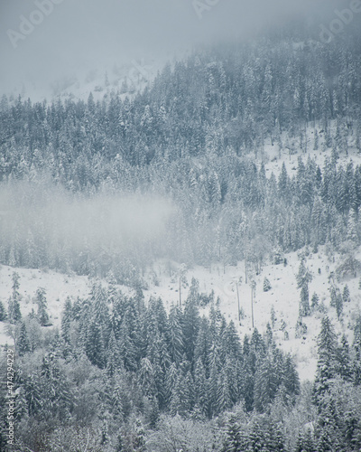 Foggy mountainside, Kranjska Gora, Gorenjska region, Slovenia