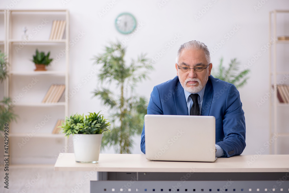 Aged businessman employee working at workplace Aged businessman employee working at workplace