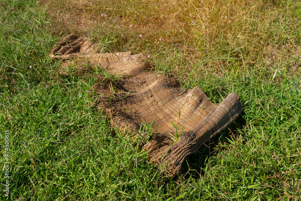 Obraz premium Reed mats are exposed to the sun and the rain until old.