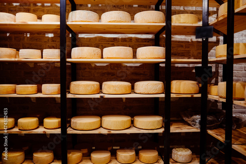 Whole wheel cheese on shelves from the Netherlands