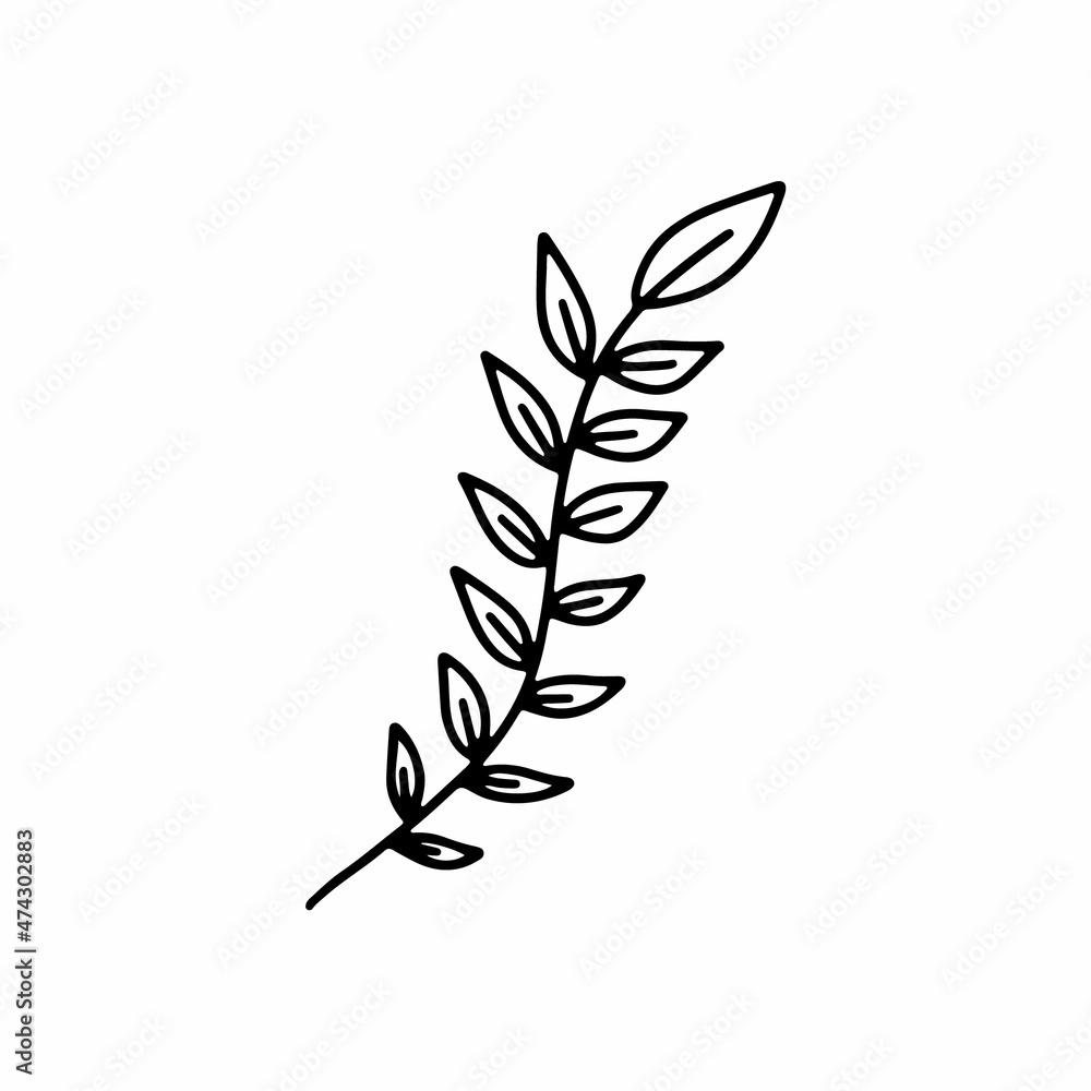 Vector hand drawn autumn leaf isolated on white background icon. Cute doodle fall leaf for seasonal design, textile, decoration for greeting card. Doodle coloring page for adult and kids. Ink line art Vector hand drawn autumn leaf isolated on white background icon. Cute doodle fall leaf for seasonal design, textile, decoration for greeting card. Doodle coloring page for adult and kids. Ink line art