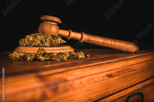 Legality of Medical Cannabis and  Seeds, legal and illegal Cannabis,  Seeds on the World - Wooden judge hammer and sound block with seeds and flower of marijuana CBD on the pinewood table background. photo