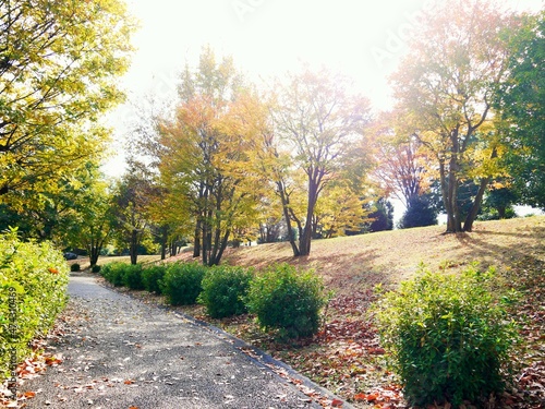 落ち葉と紅葉の散歩道①