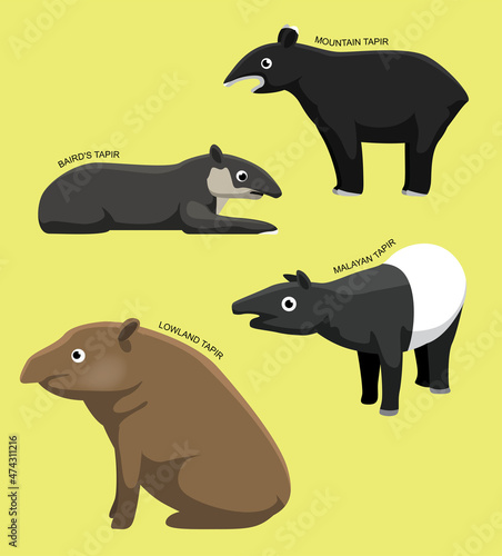 Tapir Set With Name Cartoon Vector Illustration