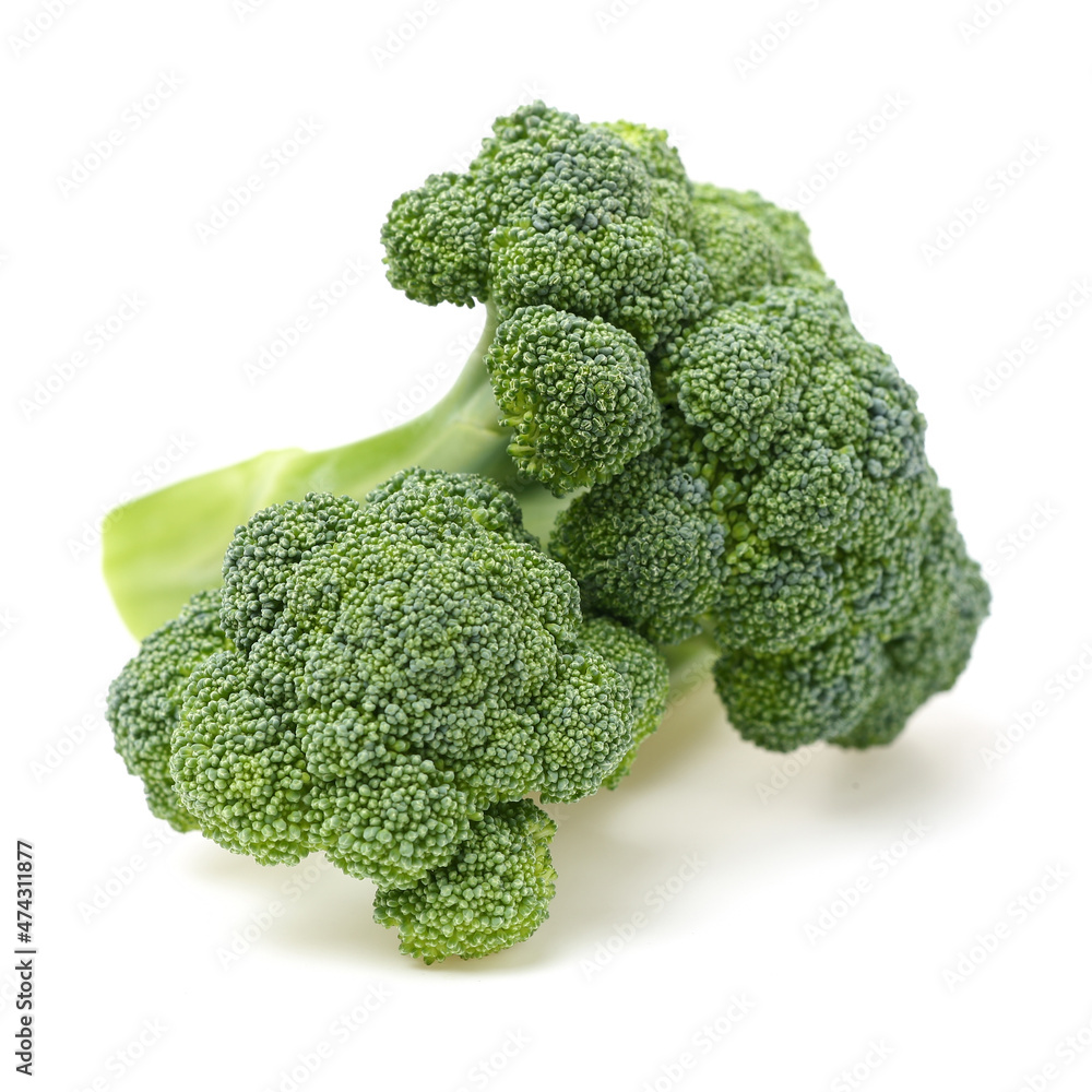 broccoli isolated on white background broccoli isolated on white background