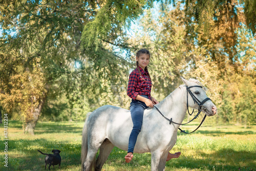 portrait of a beautiful teenage girl riding a horse during a walk in autumn. A pet dog walks next to them
