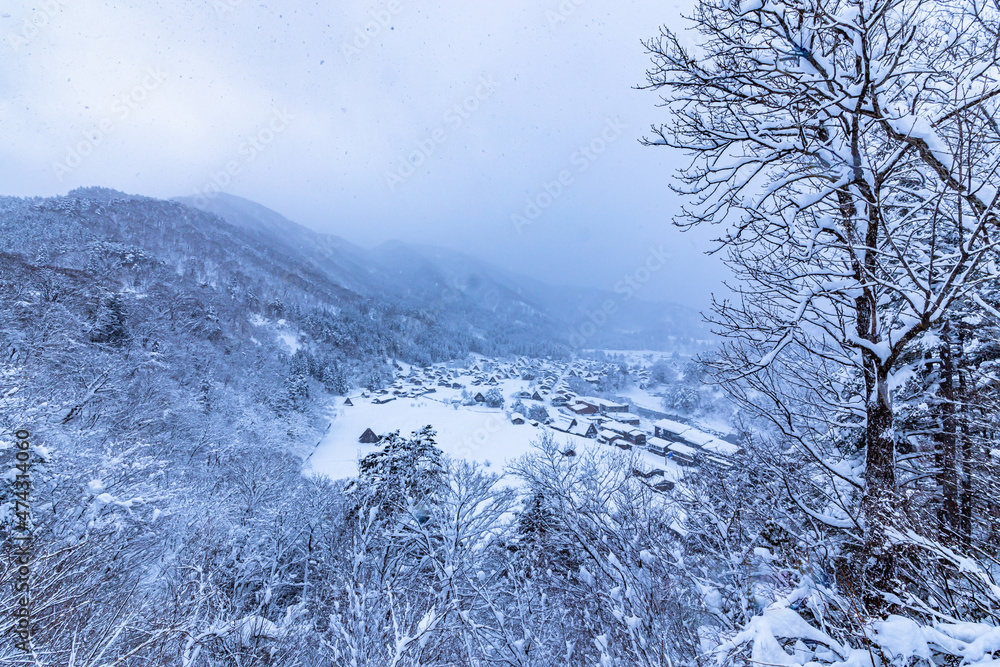 ゆきんこが出てきそうな、白川郷の降雪。