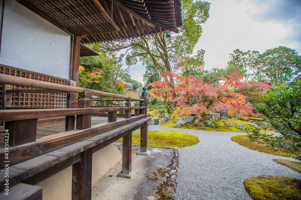 京都　 醍醐寺の紅葉